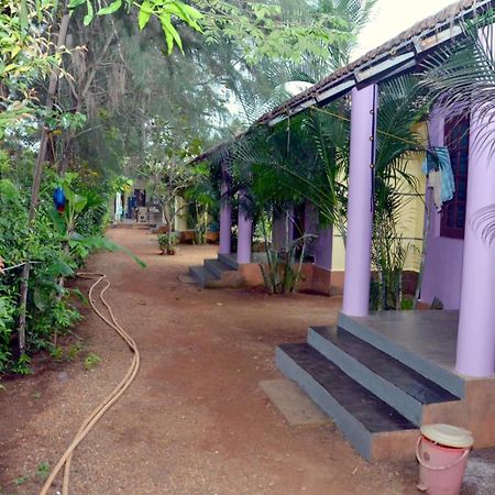 Kenchas Beach Resort Gokarna  Exteriér fotografie