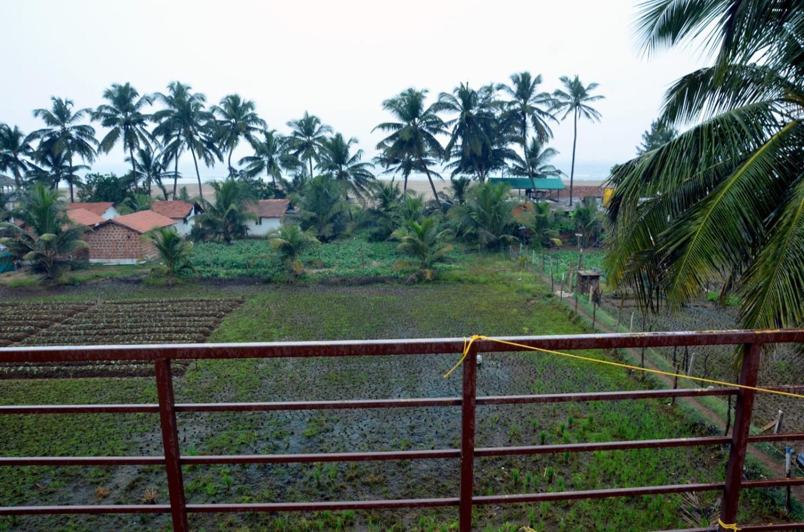 Kenchas Beach Resort Gokarna  Exteriér fotografie
