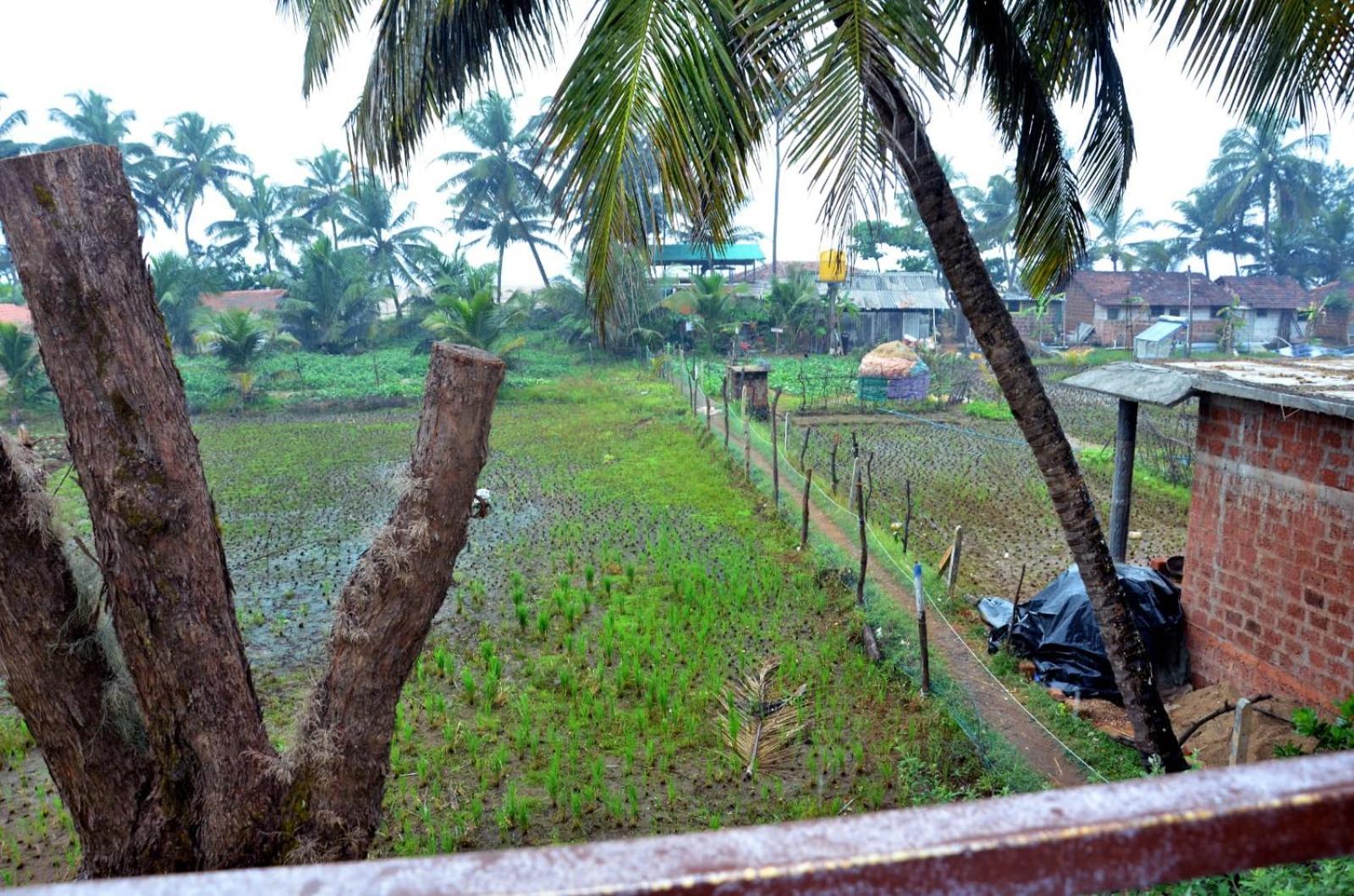 Kenchas Beach Resort Gokarna  Exteriér fotografie