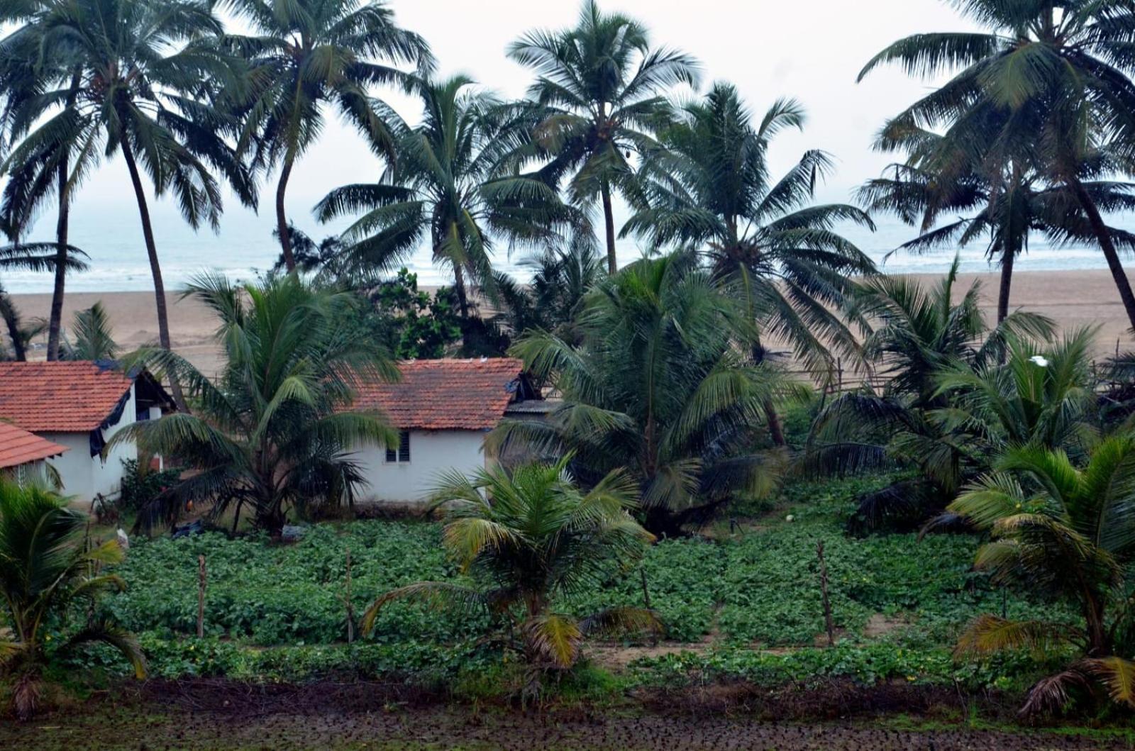 Kenchas Beach Resort Gokarna  Exteriér fotografie